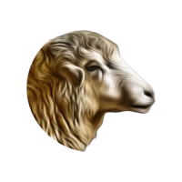 My Sheep Manager - Farming app