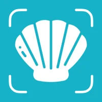 SeaShell Identifier - Shellium